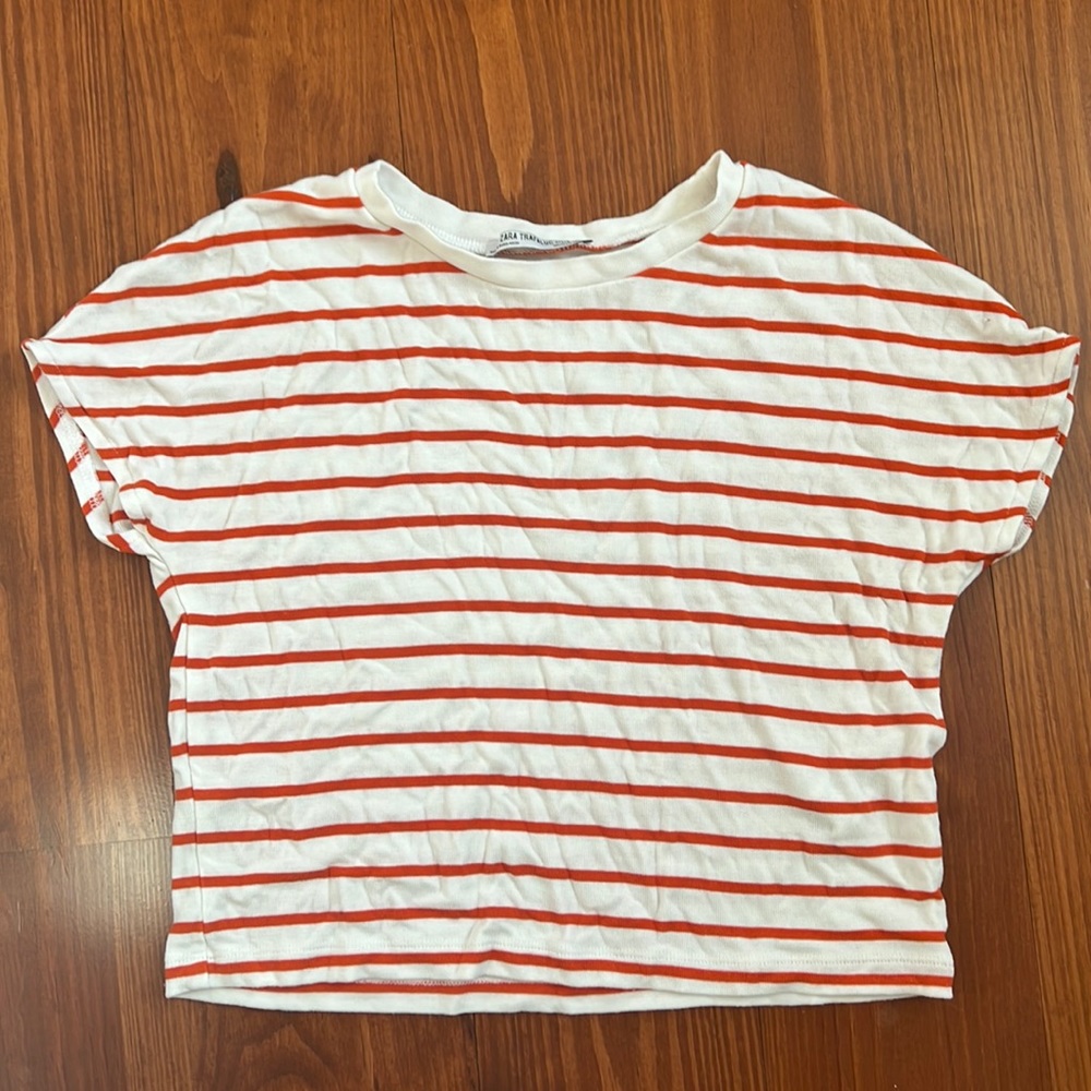 Zara crop top